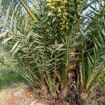 WhatsApp Image 2025-06-23 at 20.29.56_2d3b6cd3