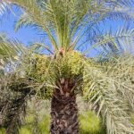 WhatsApp Image 2025-06-23 at 20.29.56_7037df7d