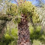 WhatsApp Image 2025-06-23 at 20.29.57_72292497